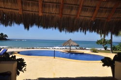 palm ceiling pool palm ceiling pool